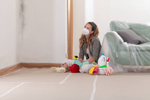 Reliable Black Mold Removal contractor in Beulah, MI by WQB Mold Removal